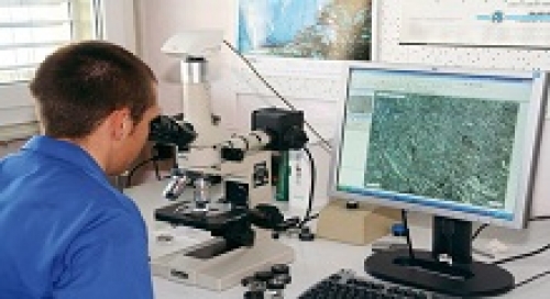 Auxiliar Laboratório Industrial  