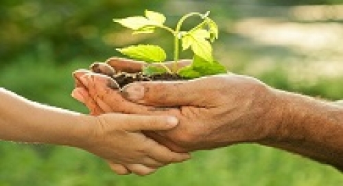  Assistente de ecologista e conservador de ambientes 